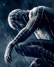 176x220_wallpaper_049_SpiderMan3.jpg