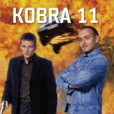 kobra-jedenact-hlavni-hrdinove-za-nimi-plameny.jpg
